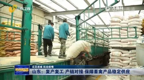 2月26日鸭苗毛鸭市场观察 计划爆单下的价格异动与产业隐忧