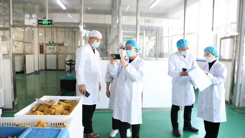 大连自贸片区创新食品生产加工5G+AR智慧监管新模式，筑牢安全防线